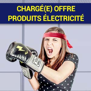 Recrutement : Chargé(e) offre produits électricité