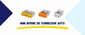 Mini borne connexion automatique raccordement