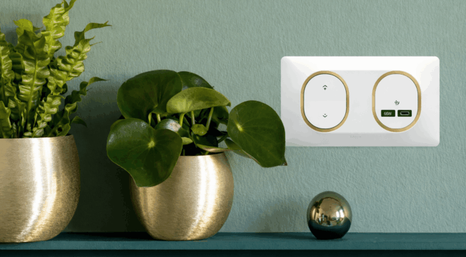 schneider ovalis couleur