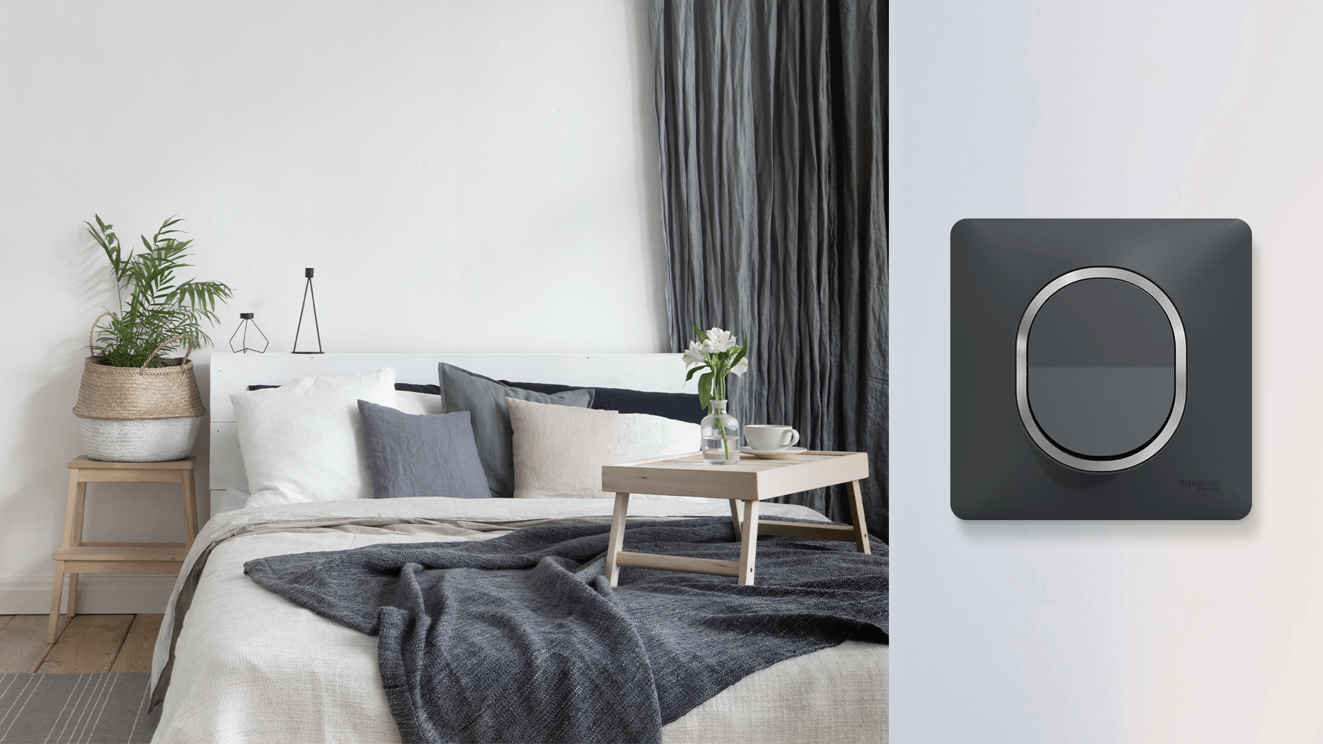 schneider ovalis anthracite